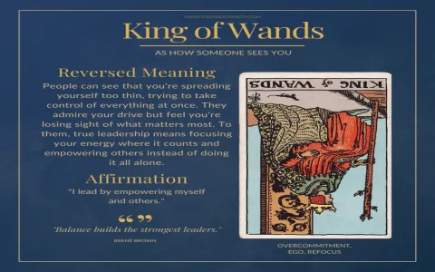 Confused by all four Kings？ Find out which the King Tarot Card reflects your personality!