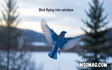 Dead rabbit spiritual meaning explained： What does it symbolize？