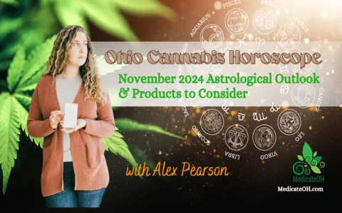 Dealing With Life： Read Your Virgo Monthly Horoscope 2023 November Advice