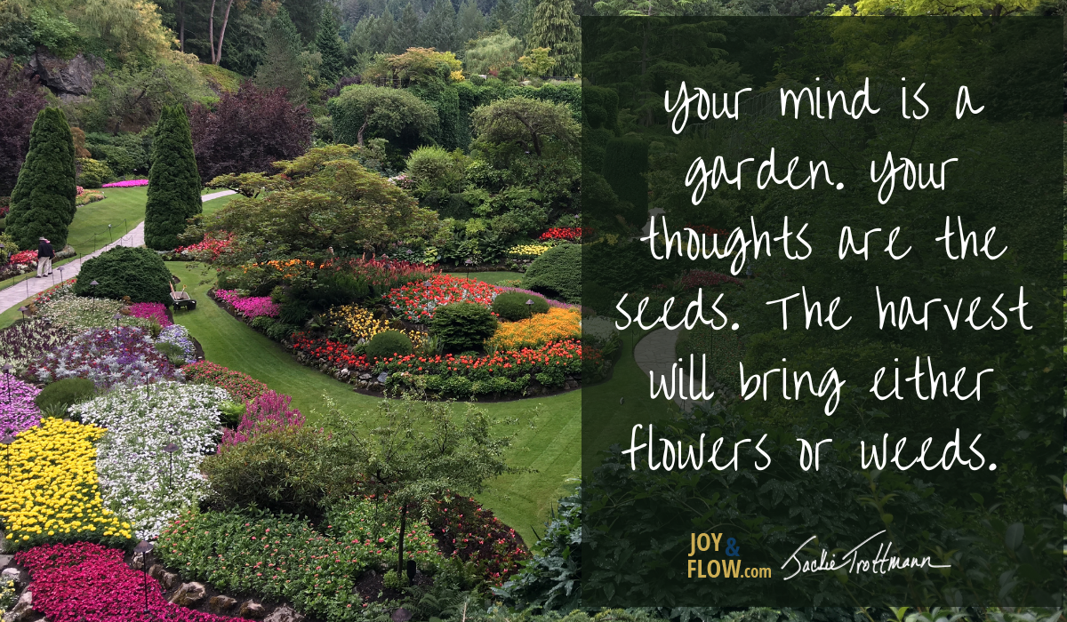 Seeing overgrown plants in your dreams about gardens？ (Find out what your mind is saying!)