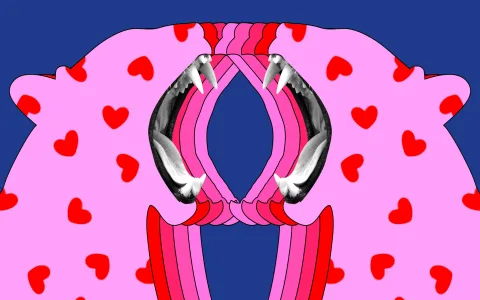 Is the virgo sun leo moon personality compatible？ Expert analysis here!