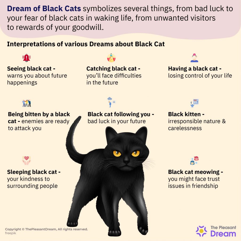 Stop worrying： what does it mean to dream with a black cat？ It is definitely not always a terrible omen!