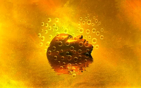 The virgo aquarius love horoscope compatibility explained (Earth vs. Air personalities!)