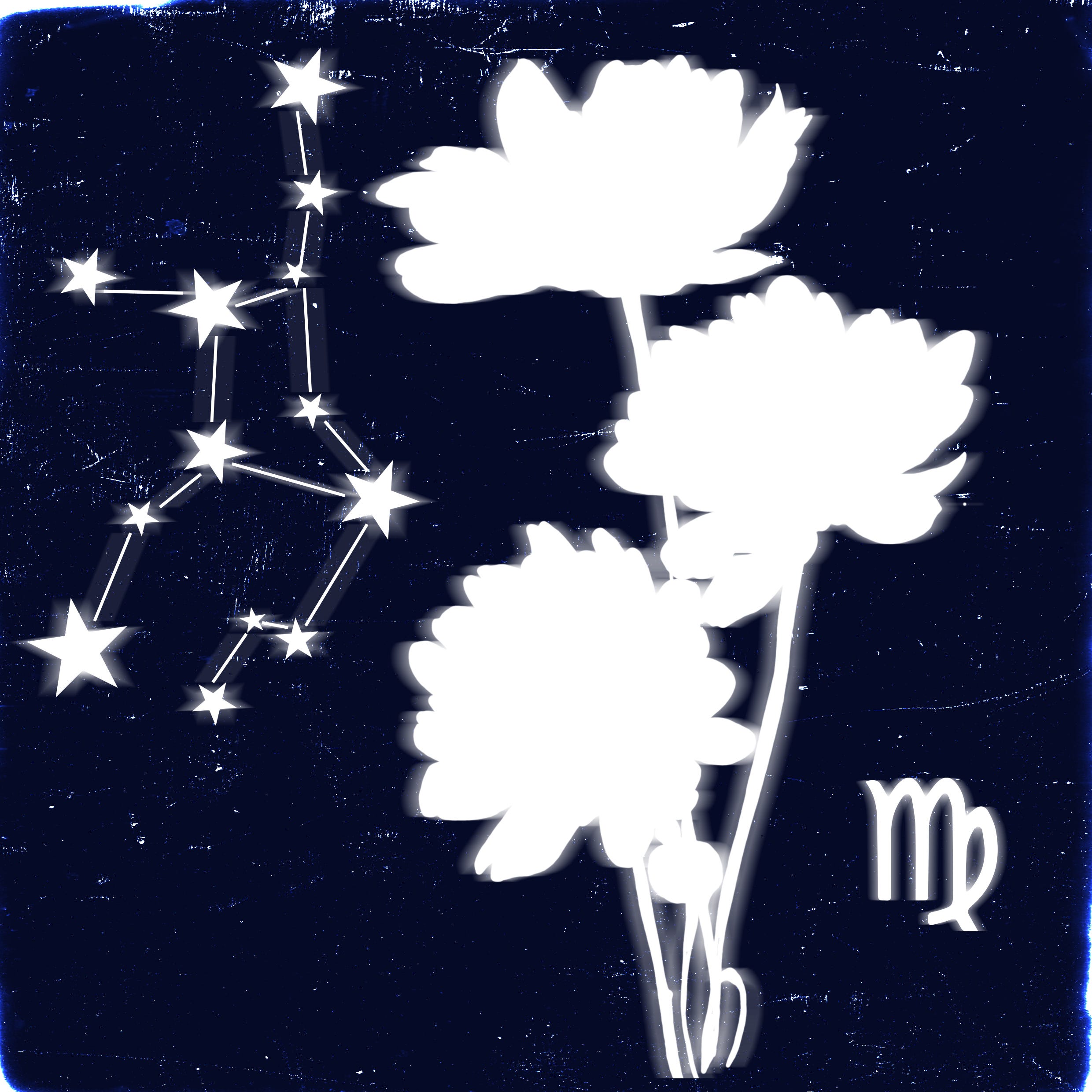 Looking for the elle uk daily virgo summary？ We have the essential key points right here!