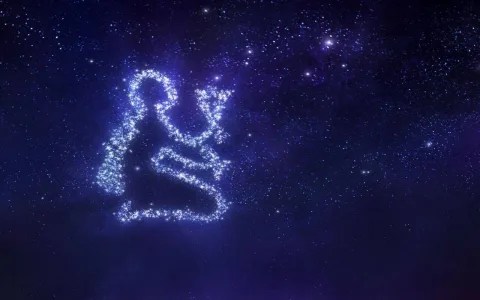 Is Virgo hard to love？ How to deal with a Virgo partner