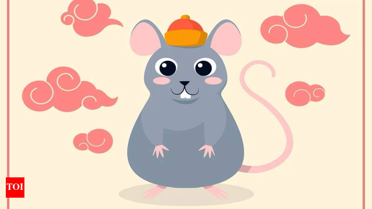 Can you change your virgo rat personality？ The answer may surprise you!