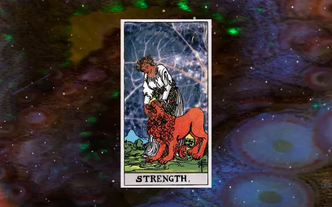 What are the signs of tarot card strength reversed？ Find out now!