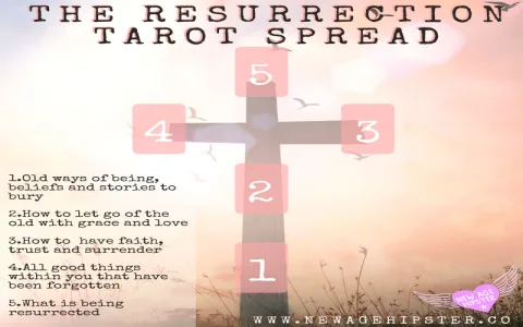 Am I pregnant tarot spread - What to expect from the reading？