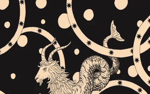 Capricorn Virgo compatibility love： Are they a good match for long - term love？