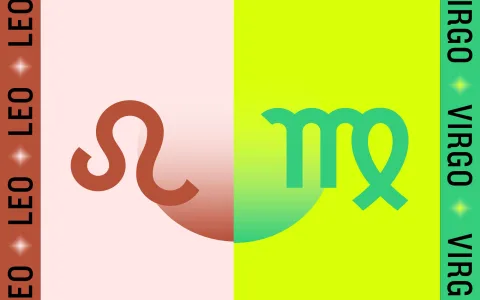 aquarius male and virgo female love match