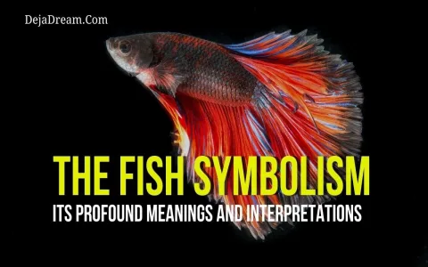 How to understand the biblical meaning of fish in a dream？ 5 key points!