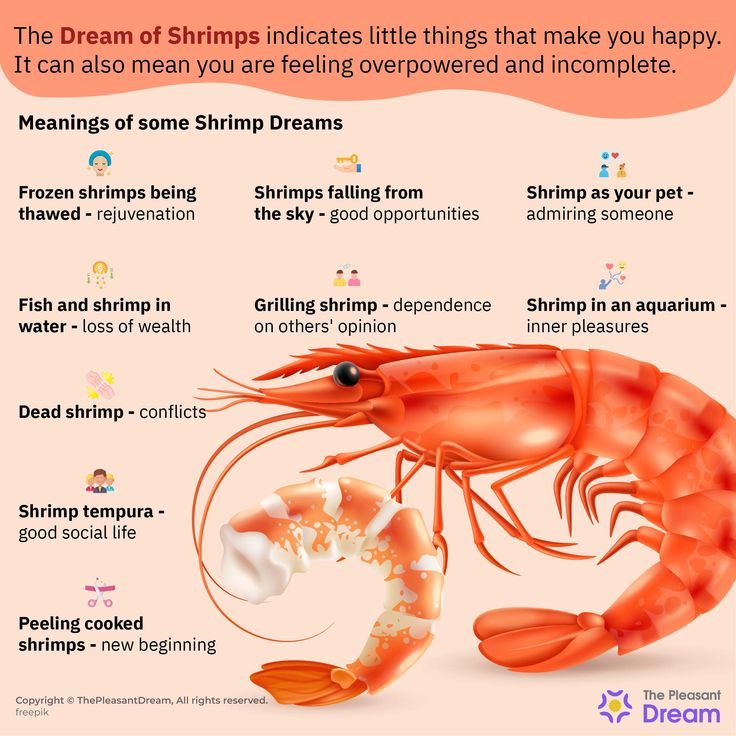 Dream dictionary shrimp: How to understand your shrimp - related dreams?
