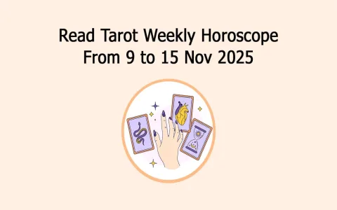 How to understand the daily horoscope tarot of Virgo easily？ Read this!