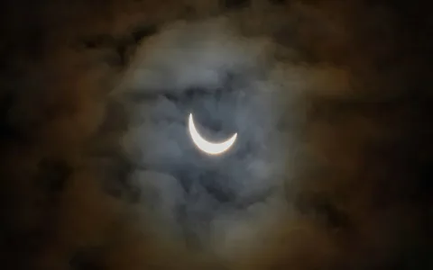 What happened to Virgos career in August 2015？ Lets explore!