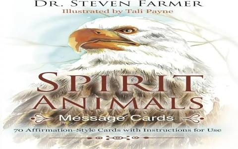 Zebra spirit animal： What messages does it bring to you？