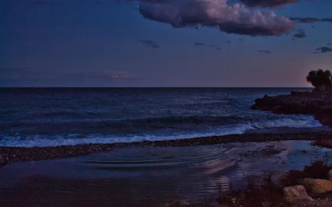 Where can I find the best georgia nicols virgo daily forecast？ Check the official site!