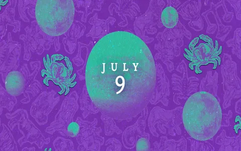 Did the free virgo daily horoscope 2016 work？ (See the Year-End Summary!)