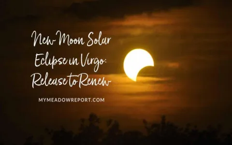 Virgo April 2018 career prospects： What can you expect？