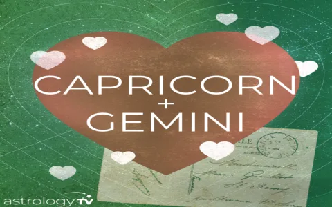 What are the pros and cons of Gemini male and Virgo female love match？ Read on!