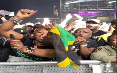 How to understand the lyrics no money romain virgo？ Key points revealed!