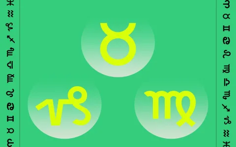 Is Aquarius love compatible with Virgo？ 4 factors to consider!