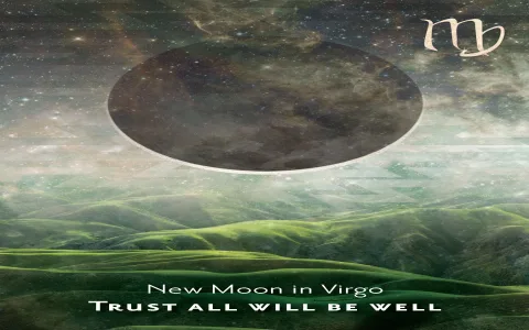 What did the `virgo monthly horoscope 2021 june` predict for your career？ Review the key takeaways now!