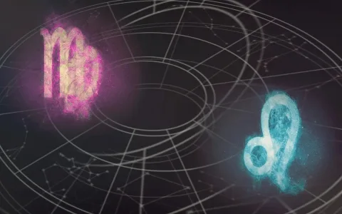 What affects the compatibility of Leo woman and Virgo man in a relationship？