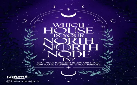 Are these north node in virgo traits holding you back？ Avoid these common mistakes!