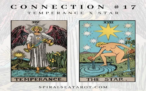 How to understand temperance love tarot meaning？ Read this!