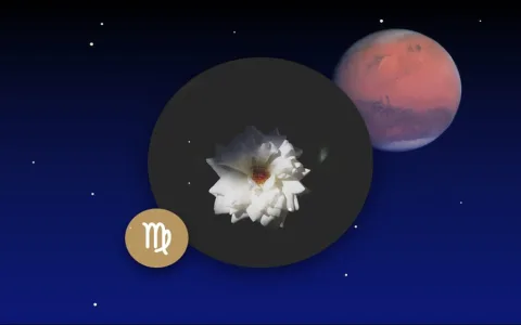 Gemini Mars and Virgo Mars compatibility： What factors affect it？