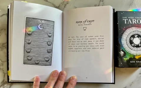 How accurate is the wild unknown tarot deck？ Experts opinions shared