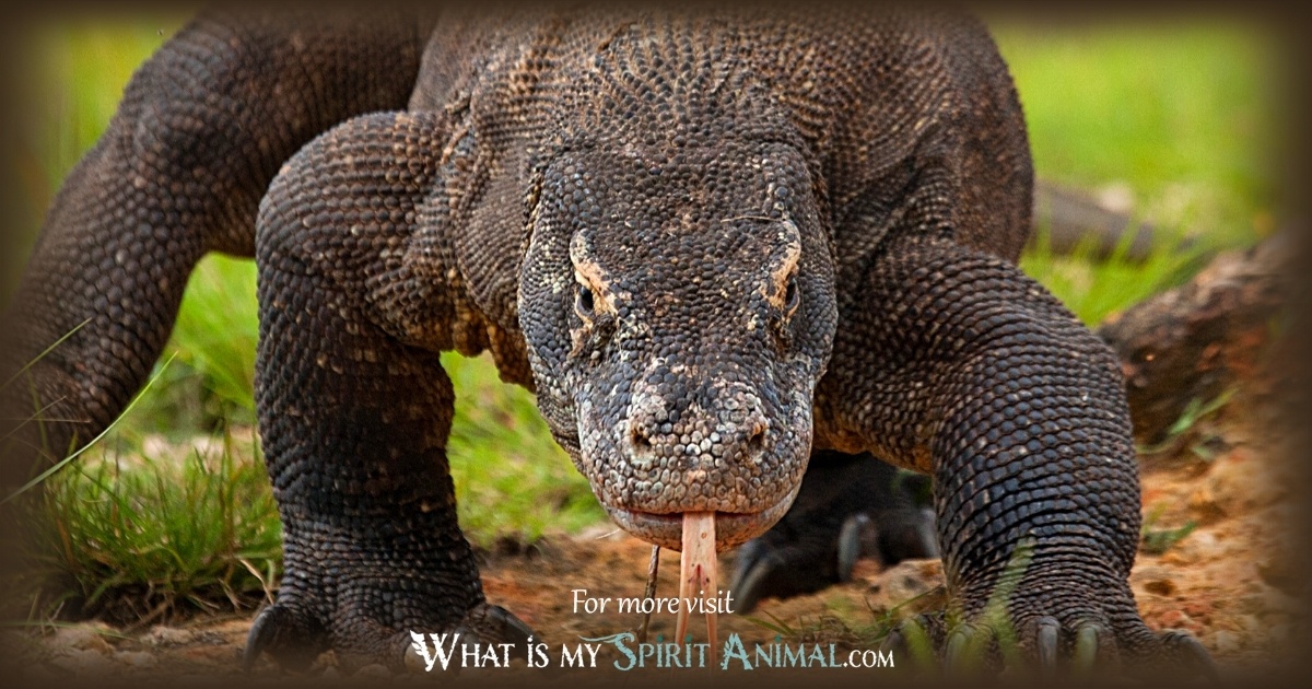 Why is komodo dragon symbolism important? Discover its values!