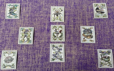 How to become a tarot card reader？ Master these key skills!