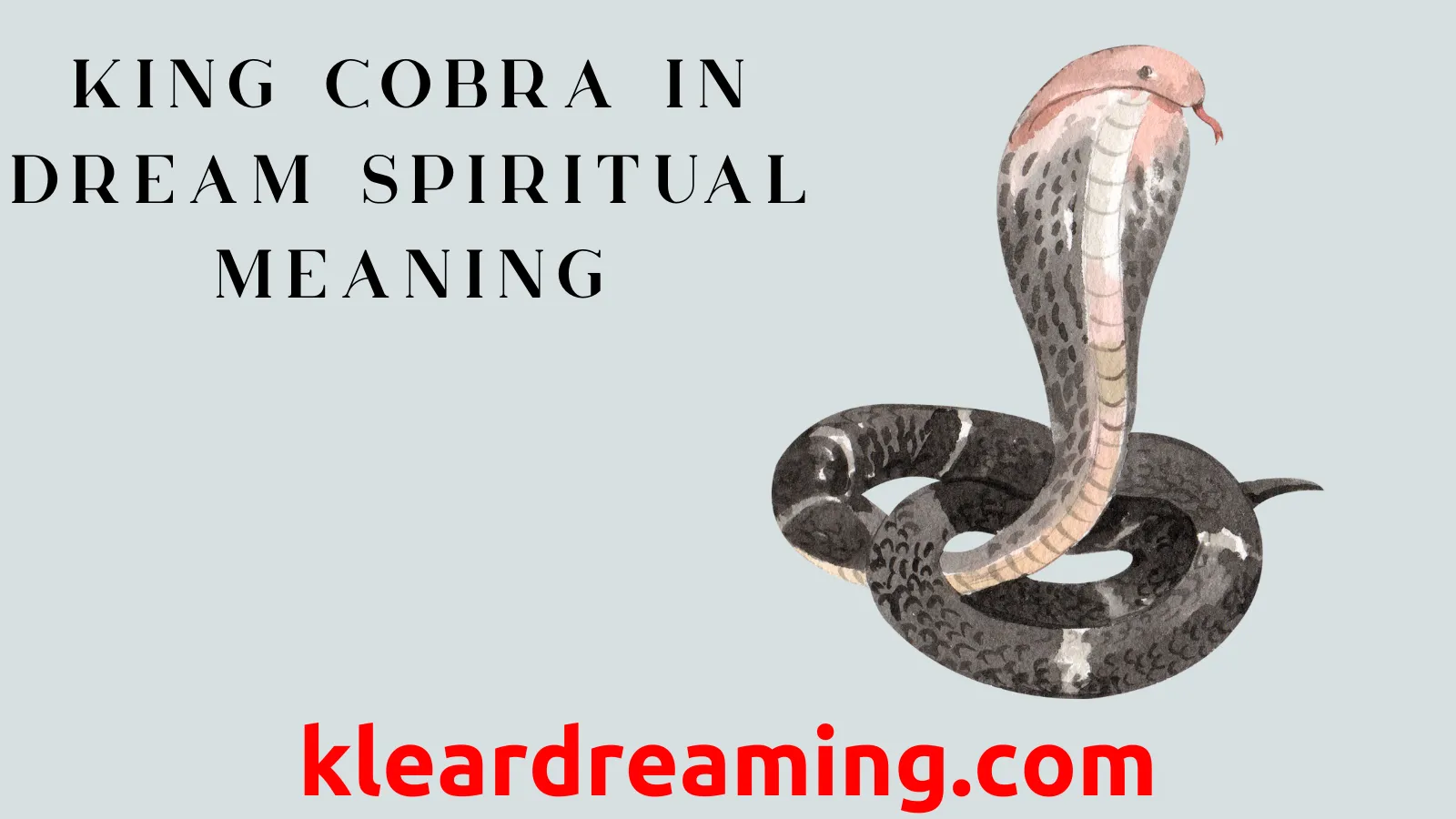 What is the symbolism of cobra？ Uncover its hidden meanings!