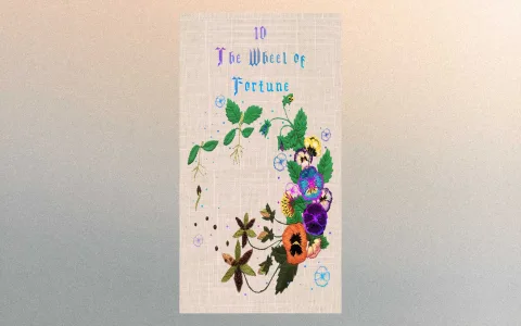The wheel of fortune tarot reversed： Is it a bad omen？ Find out now!