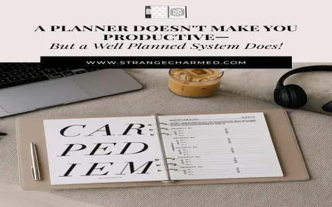 How to manage Virgo career and money in 2019？ Practical strategies!