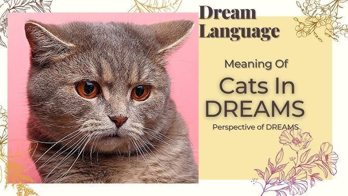 How to understand the biblical meaning of kittens in a dream？ Heres how!