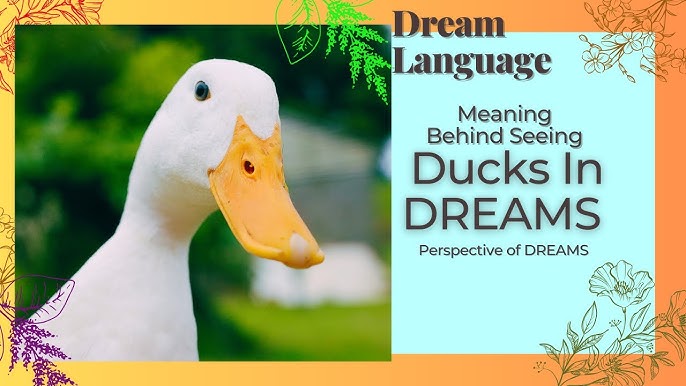 What does a duck symbolize in dreams？ Experts explain!