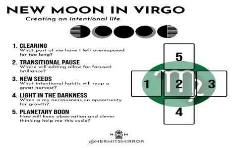 virgo monthly horoscope august 2020 explained： Get ready for these big changes!
