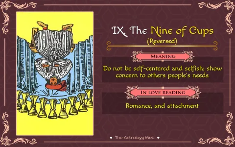 Need a quick meaning for the Tarot Nine of Cups？ Here is your easy guide!