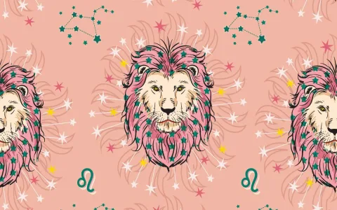 Compatibility between Virgo and Leo： Do they have a future together？