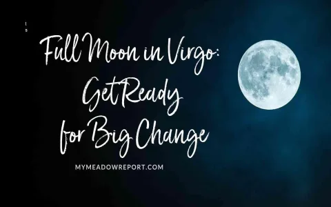 Will Virgo find love in 2023？ Tips to increase the chances!