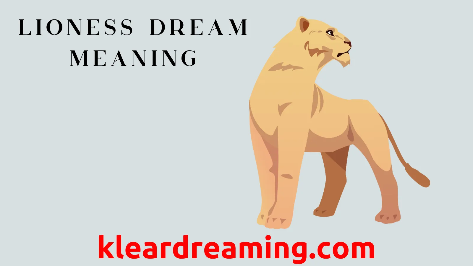 Dream about lioness, is it a good omen？ Find out the answer here!