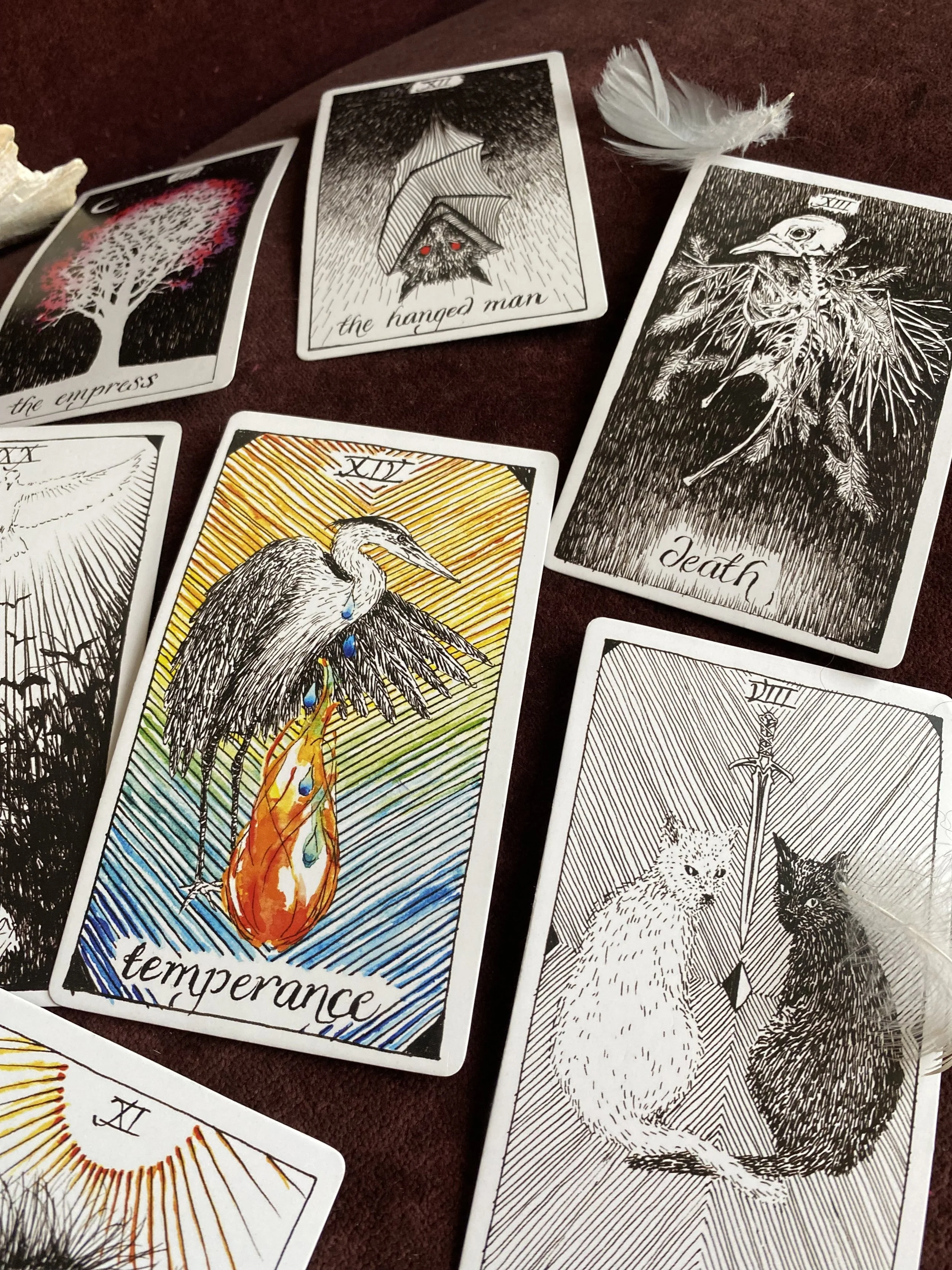 Can the Wild Unknown Tarot Deck predict the future？ Experts views!
