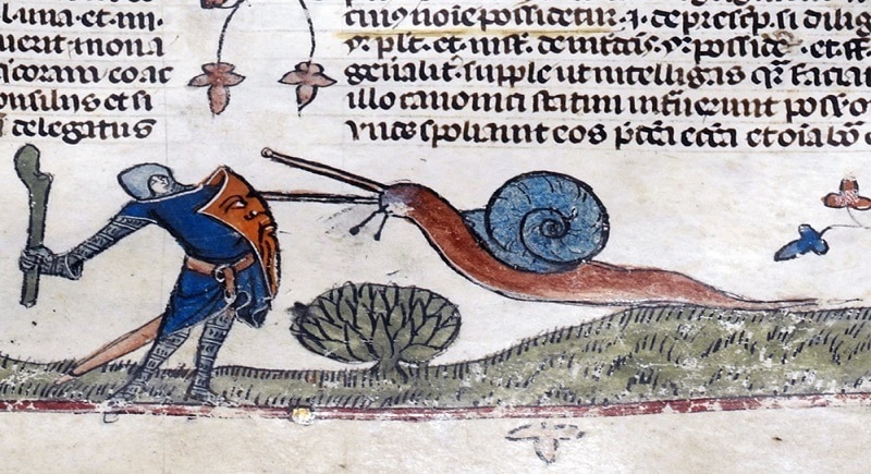 What does a snail represent in different cultures？ Find out now!