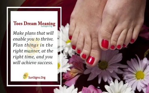 What Is The Dream Meaning Of Feet Vs Legs？ How They Differ In Interpretation!