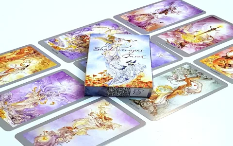 How to interpret shadowscapes tarot deck cards？ Beginners guide!