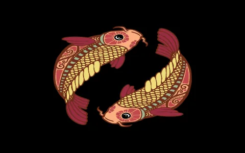 Pisces Woman and Virgo Man Compatibility 2023： Will they work？ (5 Key insights)