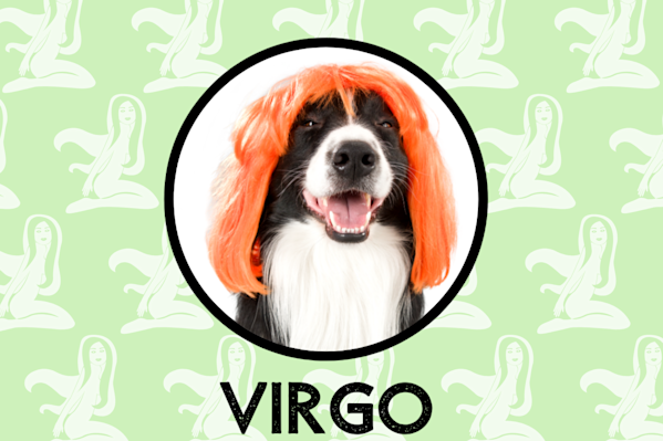 Whats the personality of a Virgo dog man？ Uncover the secrets here!