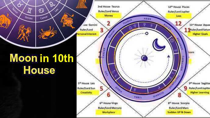 Moon in Virgo 10th house and career: Can it bring success? Lets see!